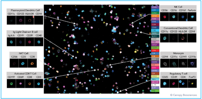 Immune cell phenotypes