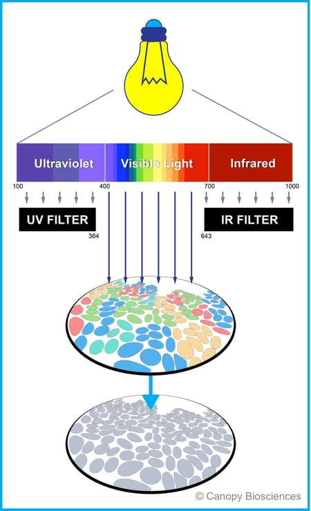 Filtered photobleaching schematic