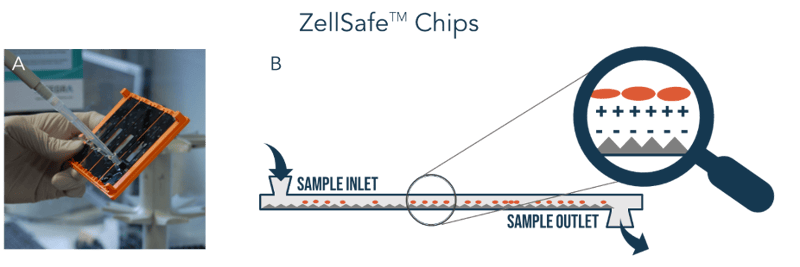 ZellSafe Chips