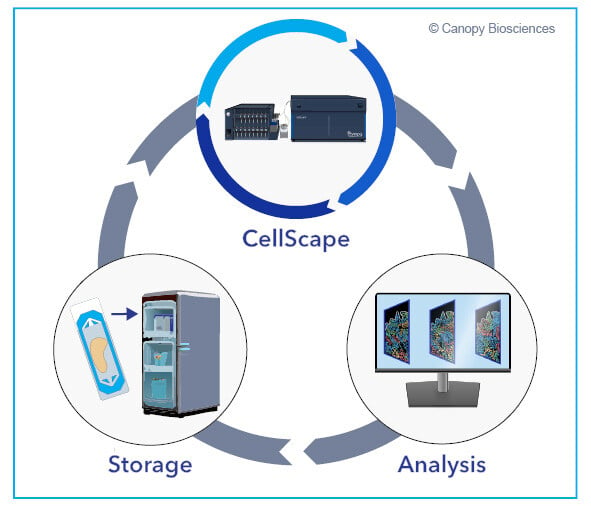 Data-driven assay expansion workflow